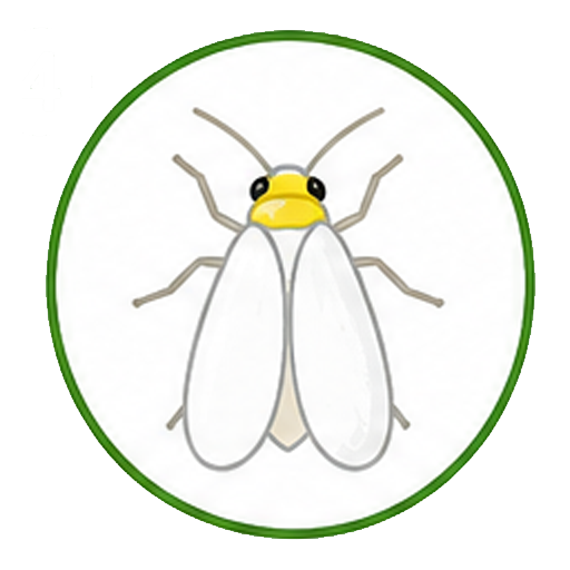 mosca-blanca