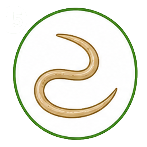 nematodo-suelo